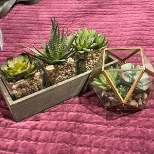 Set of Faux Succulent Gardens